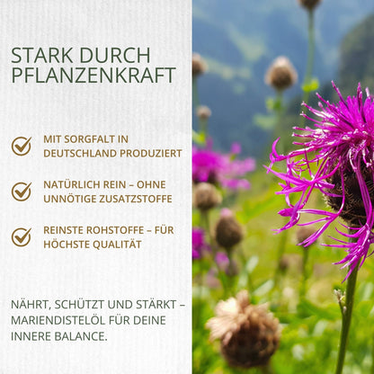 Mariendistelöl 500 ml – kaltgepresst (Silybum marianum)