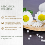 Bachblüten C30 Globuli (10g)