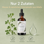 Chlorophyll-Tropfen aus Alfalfa (100ml)