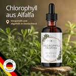 Chlorophyll-Tropfen aus Alfalfa (100ml)