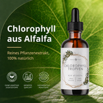 Chlorophyll-Tropfen aus Alfalfa (100ml)