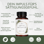 Leptin-Aktivator (60 Kapseln)