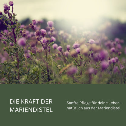 Mariendistelöl 500 ml – kaltgepresst (Silybum marianum)