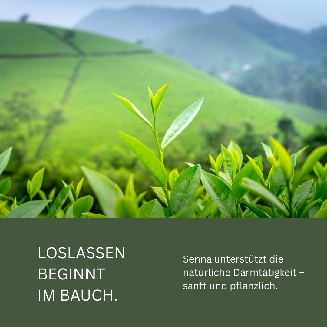 Sennes-Blätter (250g)