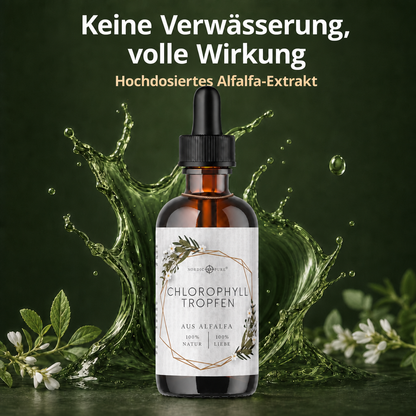 Chlorophyll-Tropfen aus Alfalfa (100ml)