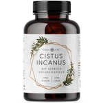 Cistus Incanus mit Acerola (180 Kapseln)